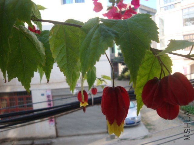 DSC05007.JPG