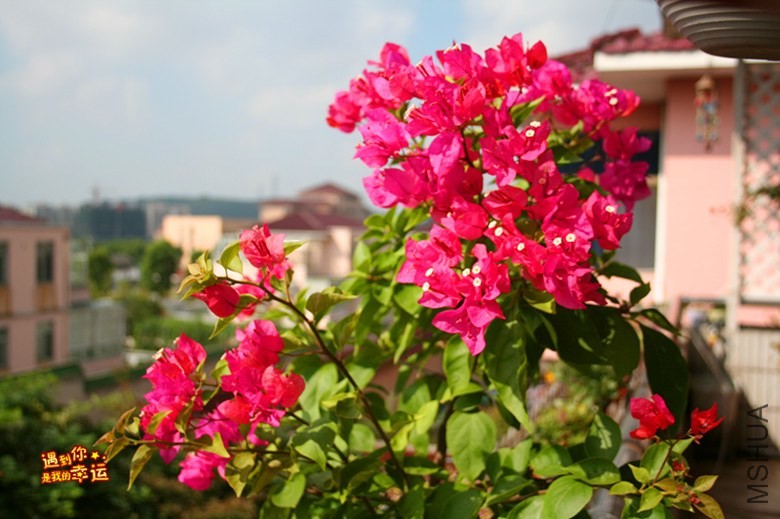 ��Ƭ 101_����.jpg