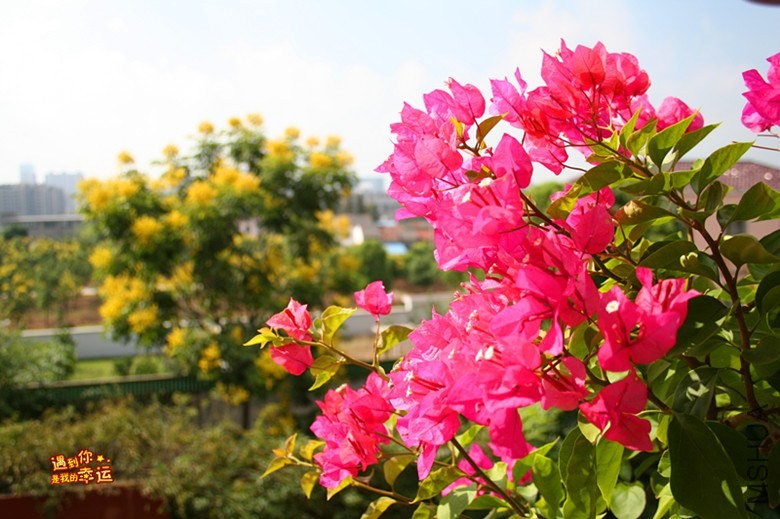 ��Ƭ 102_����.jpg