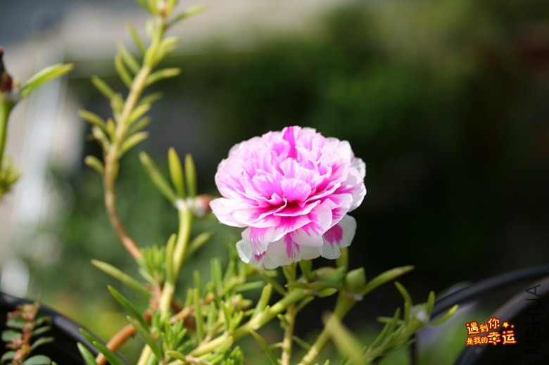 ��Ƭ 121_����.jpg