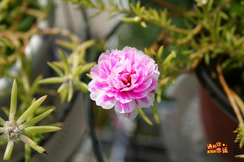 ��Ƭ 122_����.jpg