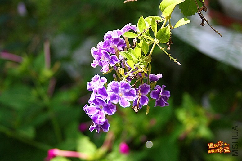 ��Ƭ 173_����.jpg