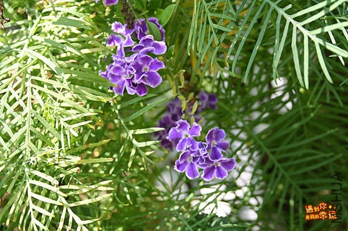 ��Ƭ 175_����.jpg