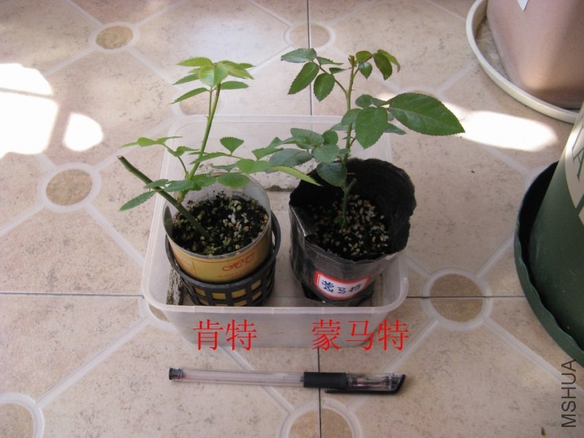 20131025001.jpg