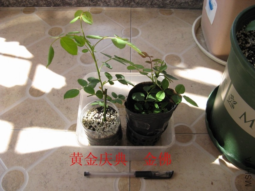 20131025003.jpg