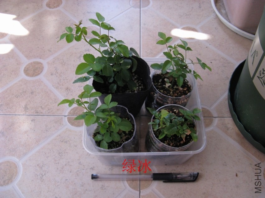 20131025004.jpg