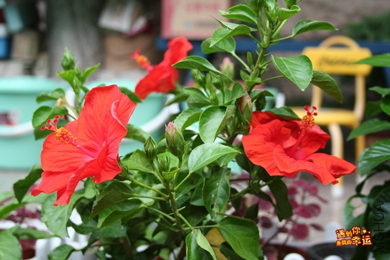 ��Ƭ 200_����.jpg