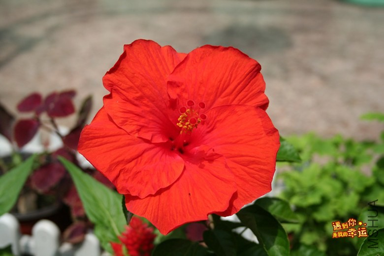 ��Ƭ 203_����.jpg