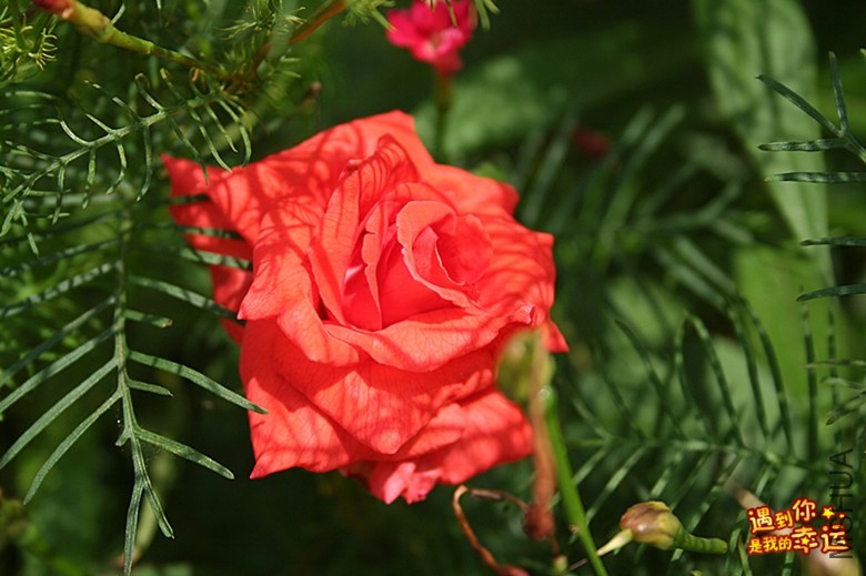 ��Ƭ 187_����.jpg