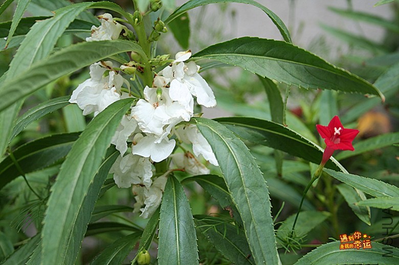 ��Ƭ 222_����.jpg