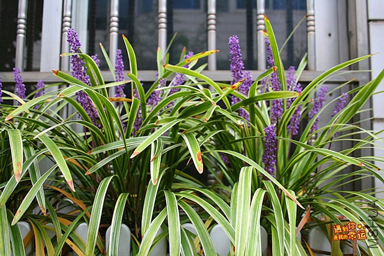 ��Ƭ 034_����.jpg