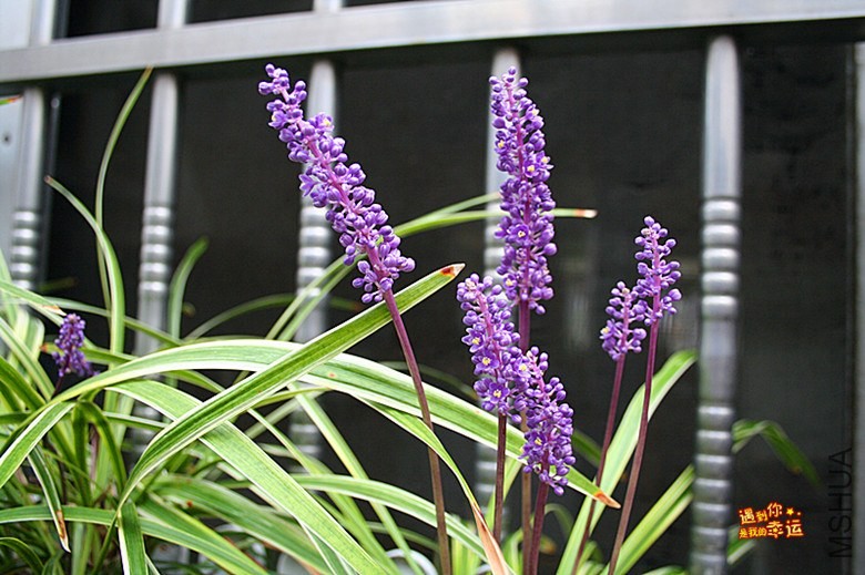 ��Ƭ 036_����.jpg