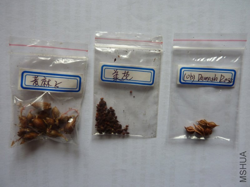 P1230860_800x600.JPG
