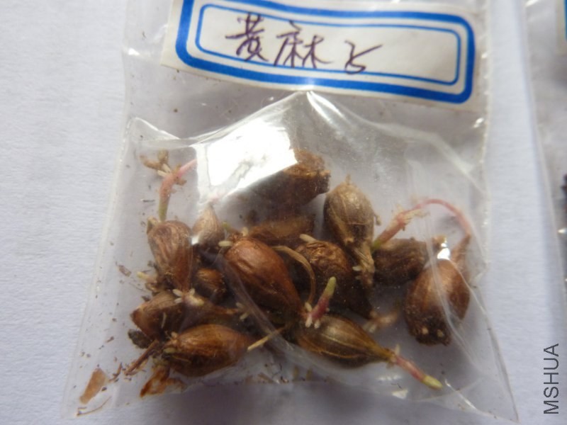 P1230861_800x600.JPG
