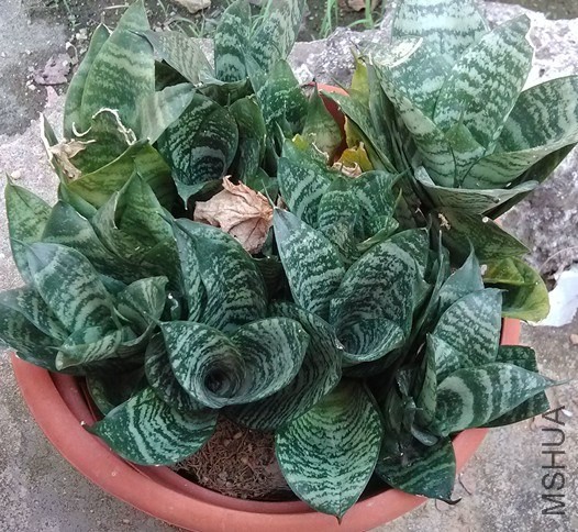 ����