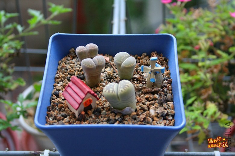 ��Ƭ 030_����.jpg