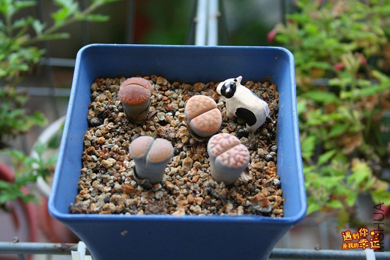 ��Ƭ 032_����.jpg