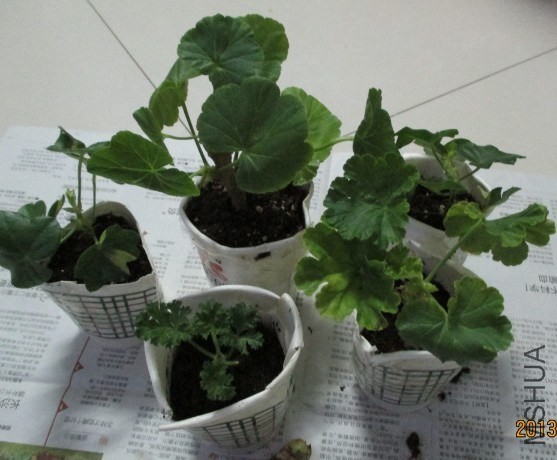 QQͼƬ20131025222720.jpg
