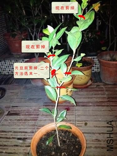 ���� nEO_IMG_��Ƭ_����.jpg