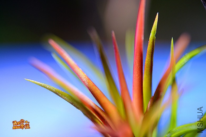 ��Ƭ 025_����.jpg