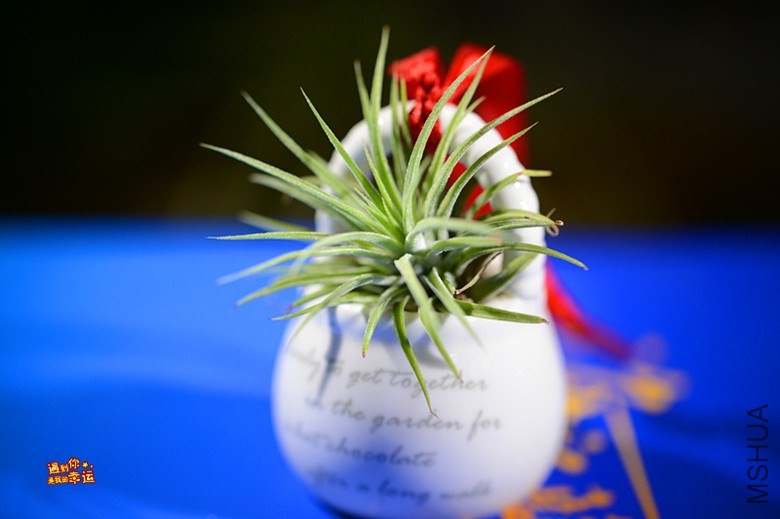 ��Ƭ 028_����.jpg