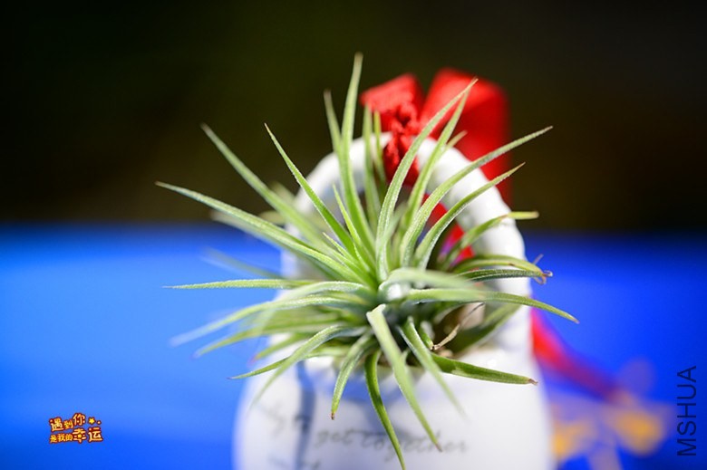 ��Ƭ 030_����.jpg