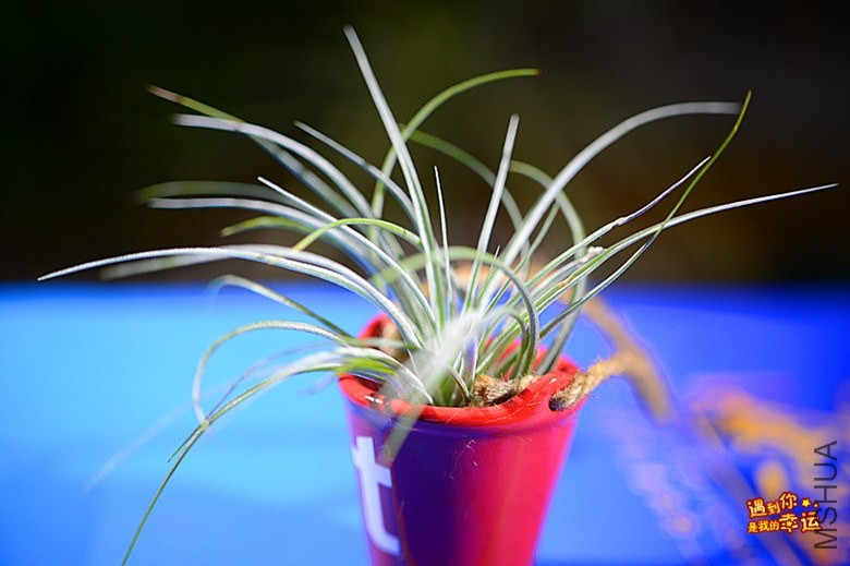 ��Ƭ 032_����.jpg