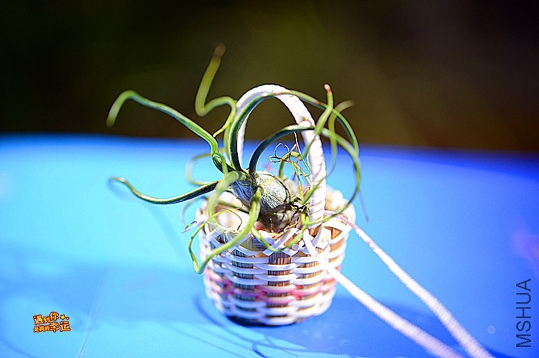 ��Ƭ 036_����.jpg