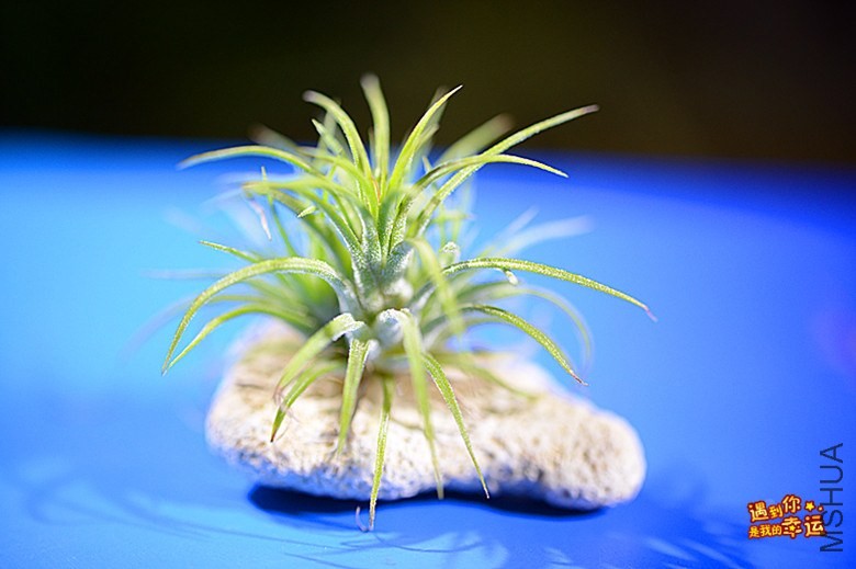 ��Ƭ 039_����.jpg