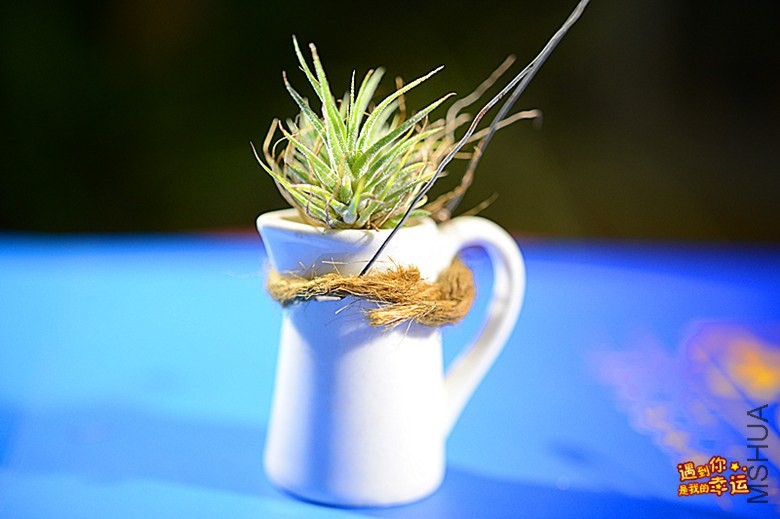 ��Ƭ 042_����.jpg