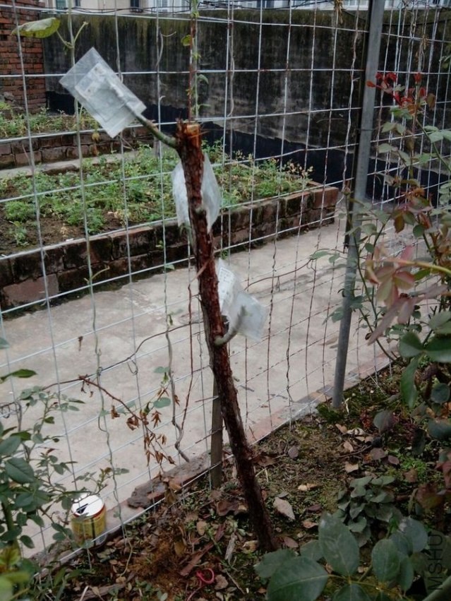 111.jpg