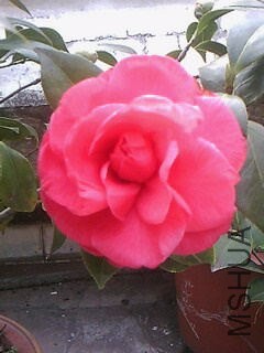 IMG0035A_��ͼ��.jpg