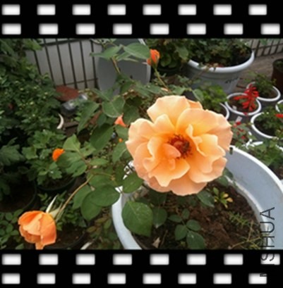 2013-10-27 094128.jpg