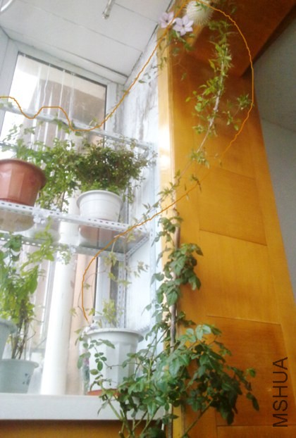 201310222007.jpg