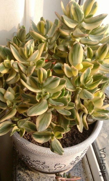 QQͼƬ20131027140025.jpg