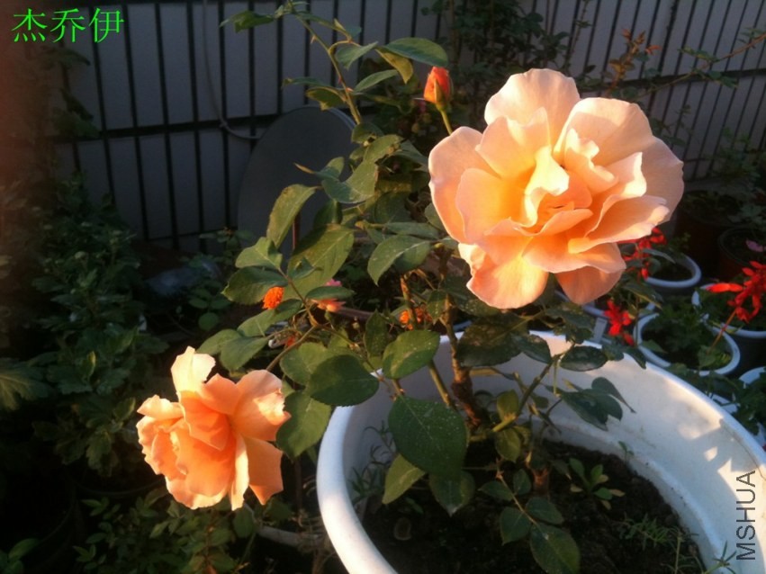 2013-10-27 164912.jpg