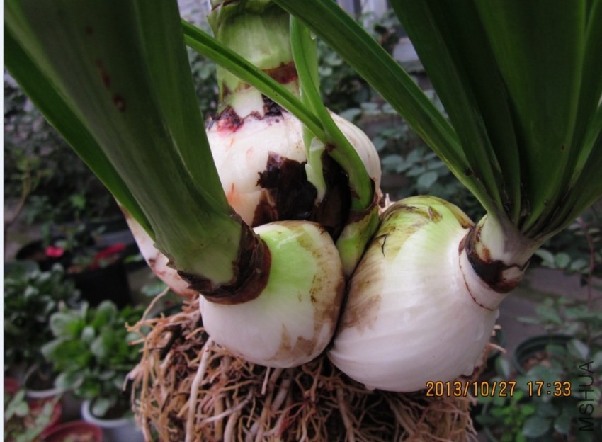 QQͼƬ20131027173240.jpg