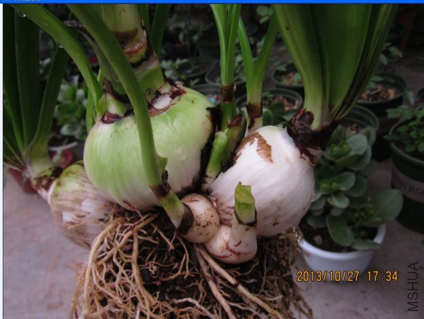 QQͼƬ20131027173246.jpg