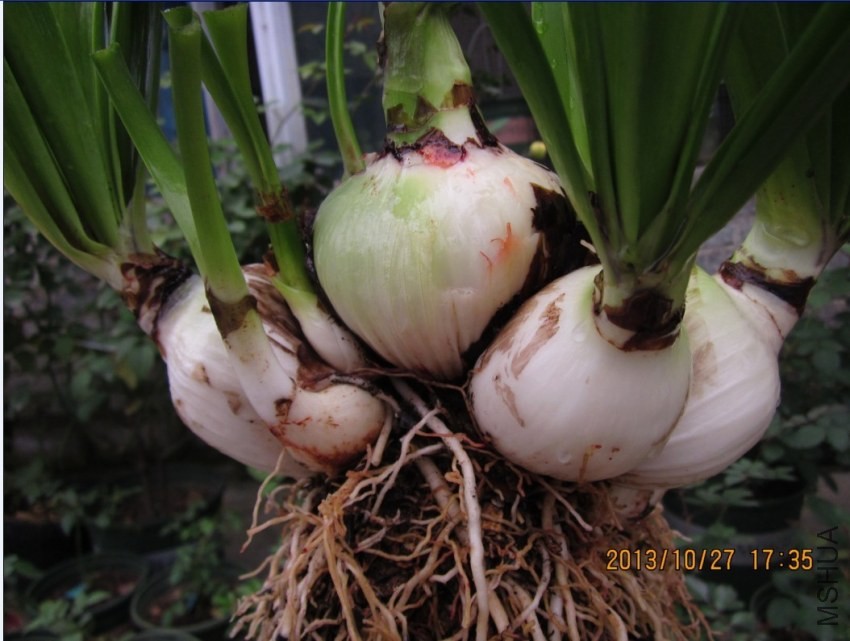 QQͼƬ20131027173255.jpg