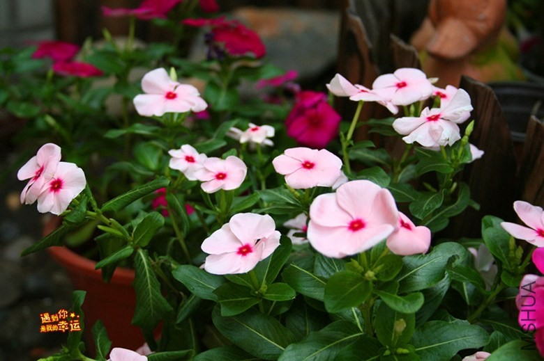 ��Ƭ 064_����.jpg