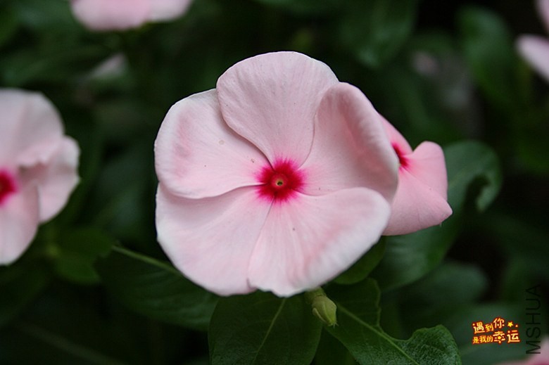 ��Ƭ 065_����.jpg