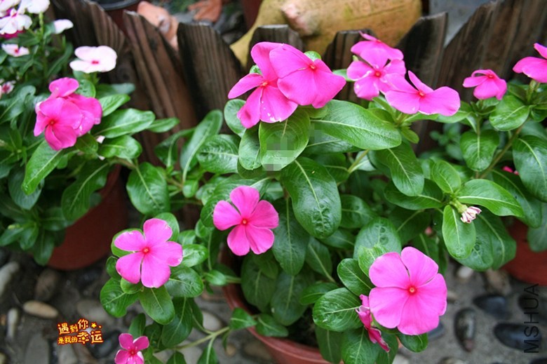 ��Ƭ 066_����.jpg