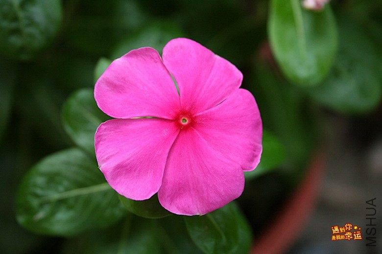 ��Ƭ 067_����.jpg