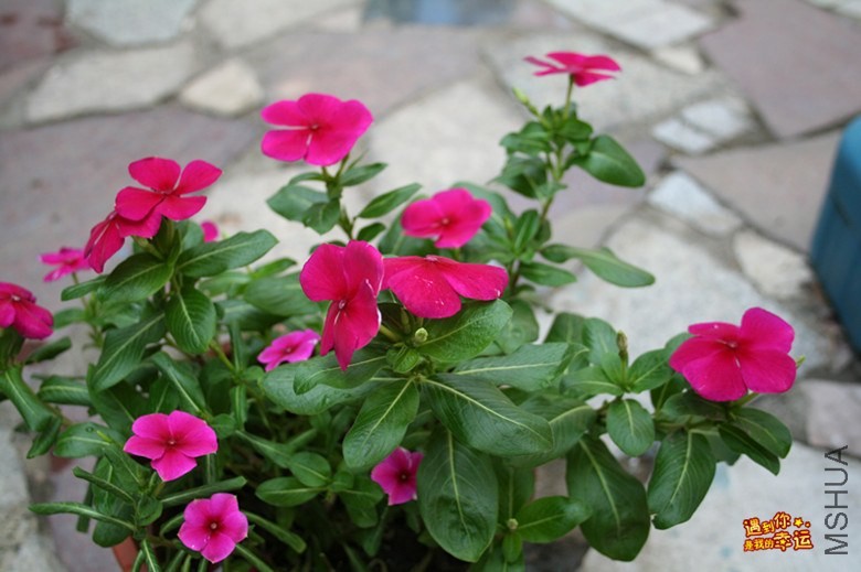 ��Ƭ 068_����.jpg