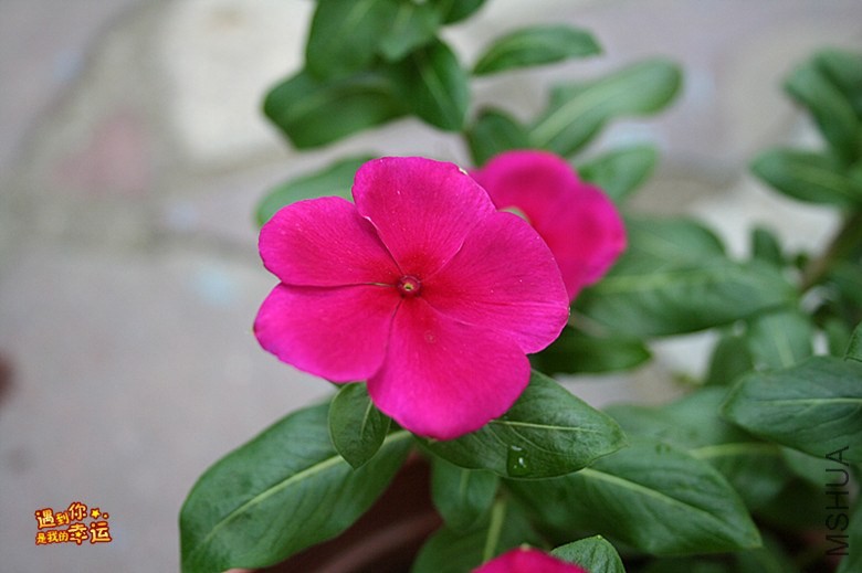 ��Ƭ 070_����.jpg