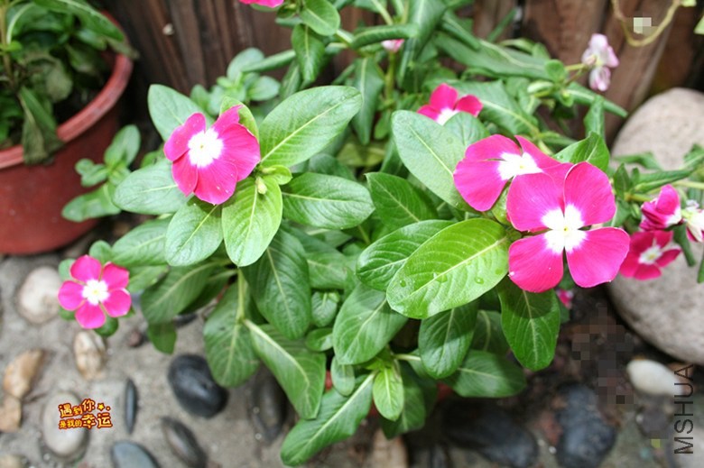 ��Ƭ 072_����.jpg