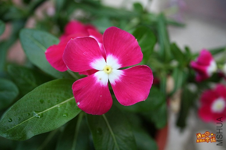 ��Ƭ 076_����.jpg