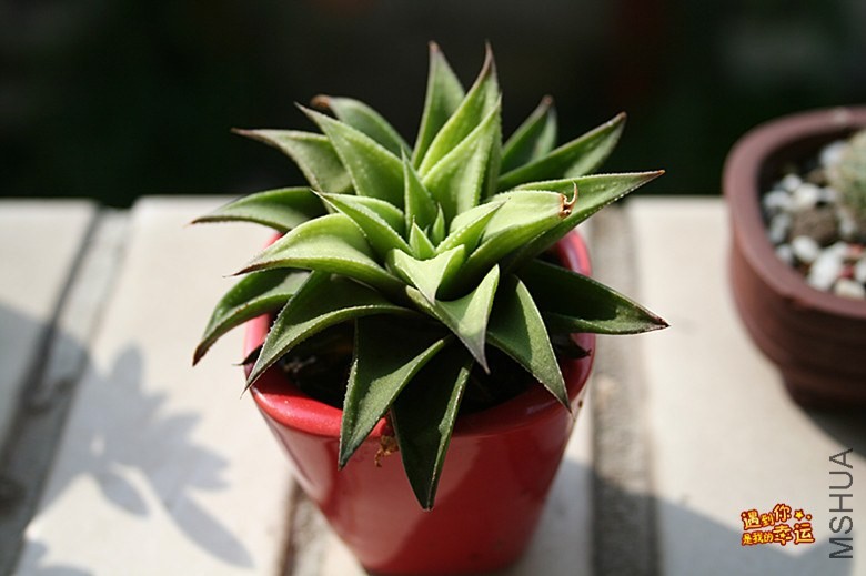 ��Ƭ 113_����.jpg