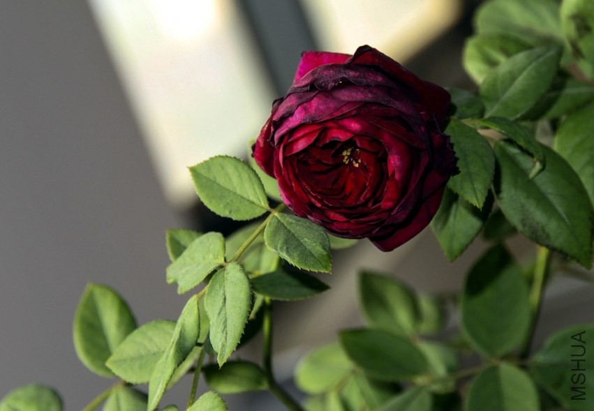 QQ��ͼ20131027201325.jpg