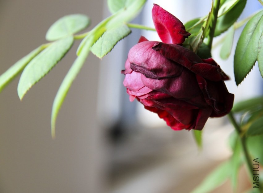 QQ��ͼ20131027201517.jpg